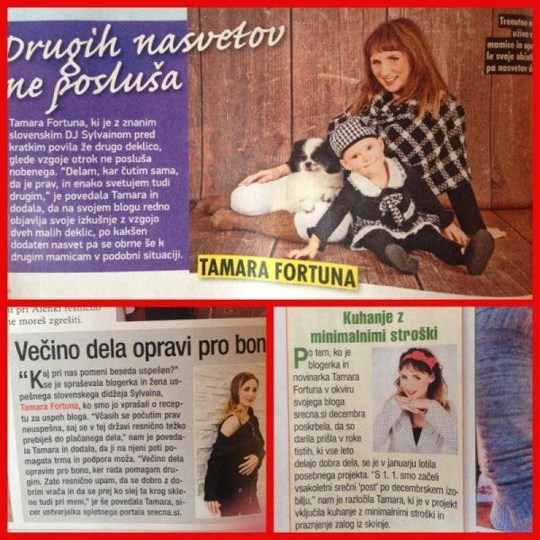 OBJAVE V MEDIJIH DEC 2014